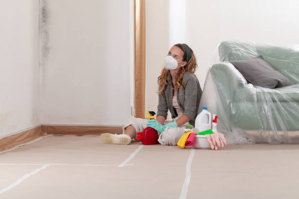 Reliable Mold Removal contractor in Jersey City, NJ by 24 Hour Mold Removal